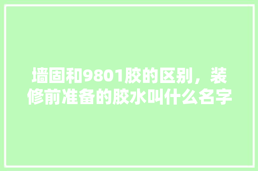 墙固和9801胶的区别，装修前准备的胶水叫什么名字。 墙固和9801胶的区别，装修前准备的胶水叫什么名字。 家居设计