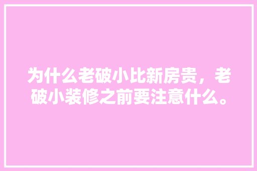 为什么老破小比新房贵，老破小装修之前要注意什么。 为什么老破小比新房贵，老破小装修之前要注意什么。 买房须知