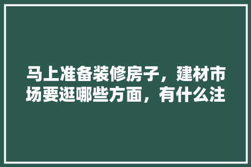 马上准备装修房子，建材市场要逛哪些方面，有什么注意事项，准备装修都需要准备什么东西。 马上准备装修房子，建材市场要逛哪些方面，有什么注意事项，准备装修都需要准备什么东西。 二手房