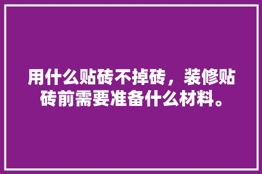 用什么贴砖不掉砖，装修贴砖前需要准备什么材料。 用什么贴砖不掉砖，装修贴砖前需要准备什么材料。 二手房