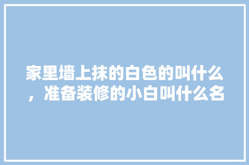 家里墙上抹的白色的叫什么，准备装修的小白叫什么名字。 家里墙上抹的白色的叫什么，准备装修的小白叫什么名字。 二手房