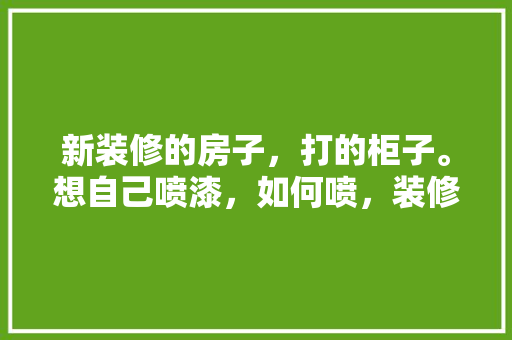 新装修的房子，打的柜子。想自己喷漆，如何喷，装修喷漆做什么准备的工作。 新装修的房子，打的柜子。想自己喷漆，如何喷，装修喷漆做什么准备的工作。 买房须知