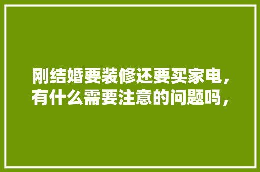 刚结婚要装修还要买家电，有什么需要注意的问题吗，装修要准备买什么东西呢。 刚结婚要装修还要买家电，有什么需要注意的问题吗，装修要准备买什么东西呢。 二手房