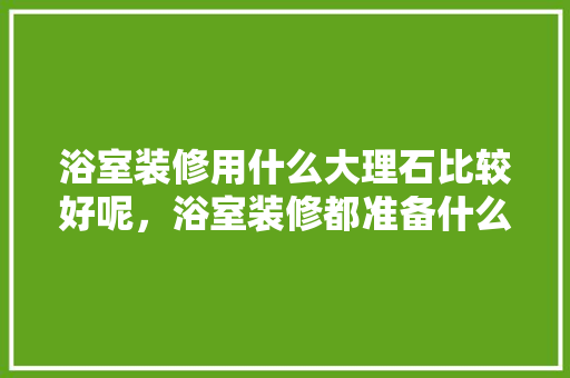 浴室装修用什么大理石比较好呢，浴室装修都准备什么东西。 浴室装修用什么大理石比较好呢，浴室装修都准备什么东西。 买房须知
