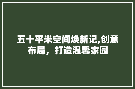 五十平米空间焕新记,创意布局，打造温馨家园 五十平米空间焕新记,创意布局，打造温馨家园 装修知识