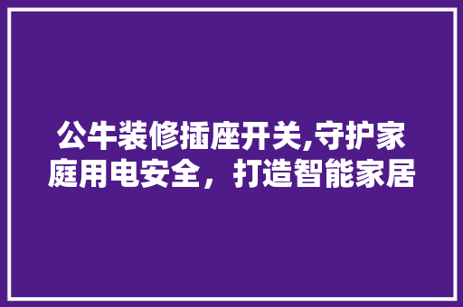 公牛装修插座开关,守护家庭用电安全，打造智能家居生活 公牛装修插座开关,守护家庭用电安全，打造智能家居生活 家居设计