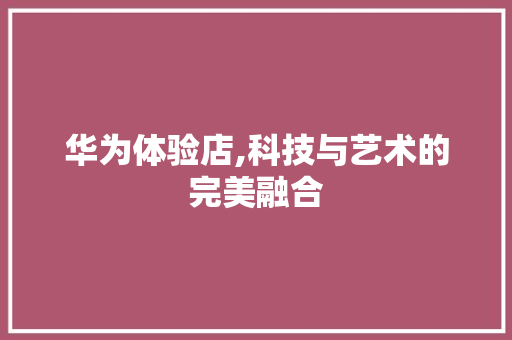 华为体验店,科技与艺术的完美融合 华为体验店,科技与艺术的完美融合 家居设计
