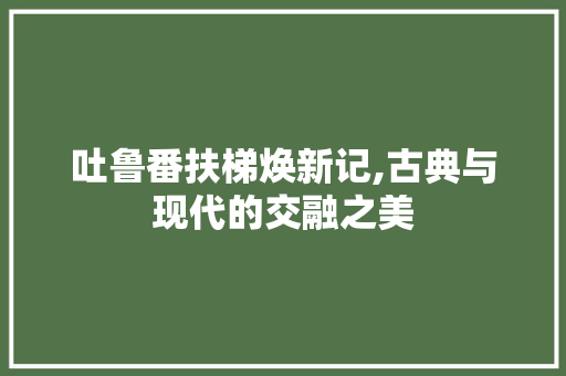 吐鲁番扶梯焕新记,古典与现代的交融之美 吐鲁番扶梯焕新记,古典与现代的交融之美 家居设计
