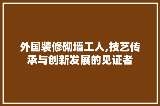 外国装修砌墙工人,技艺传承与创新发展的见证者 外国装修砌墙工人,技艺传承与创新发展的见证者 买房须知