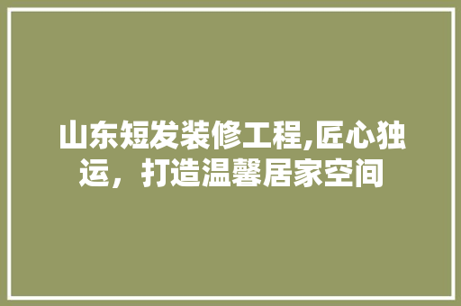 山东短发装修工程,匠心独运，打造温馨居家空间 山东短发装修工程,匠心独运，打造温馨居家空间 家居装饰