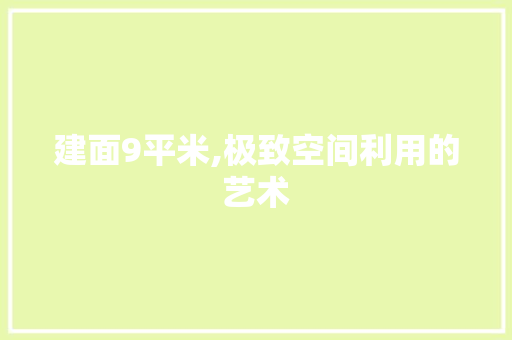 建面9平米,极致空间利用的艺术 建面9平米,极致空间利用的艺术 家居设计