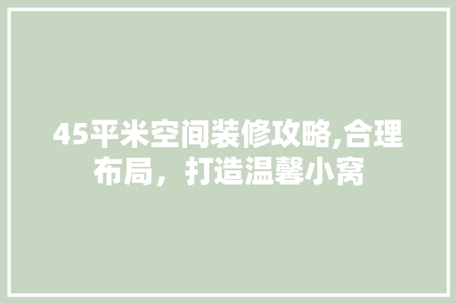 45平米空间装修攻略,合理布局，打造温馨小窝 45平米空间装修攻略,合理布局，打造温馨小窝 装修知识