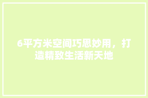 6平方米空间巧思妙用，打造精致生活新天地 6平方米空间巧思妙用，打造精致生活新天地 家居装饰