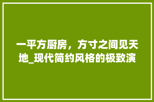 一平方厨房，方寸之间见天地_现代简约风格的极致演绎 一平方厨房，方寸之间见天地_现代简约风格的极致演绎 家居装饰