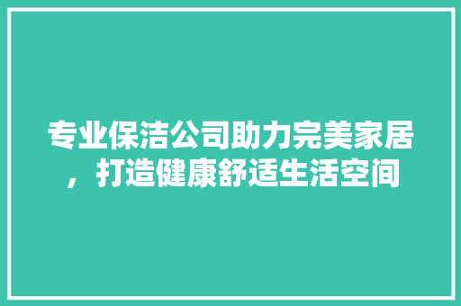 专业保洁公司助力完美家居，打造健康舒适生活空间 专业保洁公司助力完美家居，打造健康舒适生活空间 家居装饰