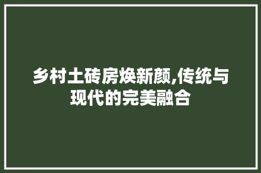 乡村土砖房焕新颜,传统与现代的完美融合 乡村土砖房焕新颜,传统与现代的完美融合 买房须知