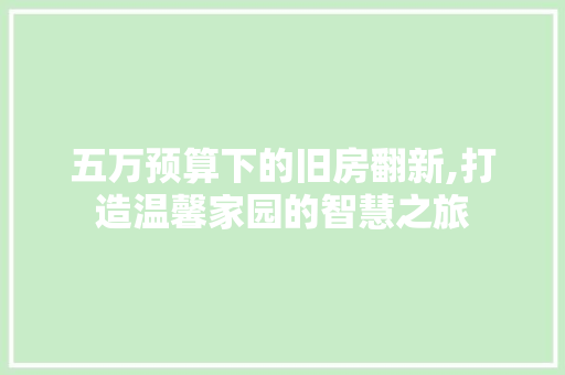 五万预算下的旧房翻新,打造温馨家园的智慧之旅 五万预算下的旧房翻新,打造温馨家园的智慧之旅 家居设计