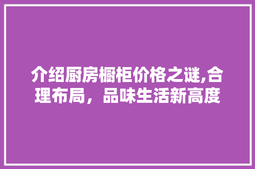 介绍厨房橱柜价格之谜,合理布局，品味生活新高度 介绍厨房橱柜价格之谜,合理布局，品味生活新高度 装修知识