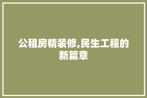 公租房精装修,民生工程的新篇章 公租房精装修,民生工程的新篇章 买房须知