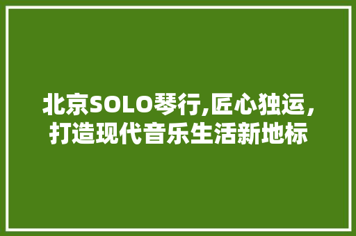 北京SOLO琴行,匠心独运，打造现代音乐生活新地标 北京SOLO琴行,匠心独运，打造现代音乐生活新地标 家居装饰