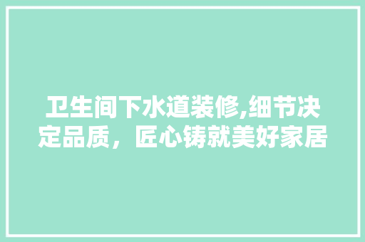 卫生间下水道装修,细节决定品质，匠心铸就美好家居生活 卫生间下水道装修,细节决定品质，匠心铸就美好家居生活 买房须知