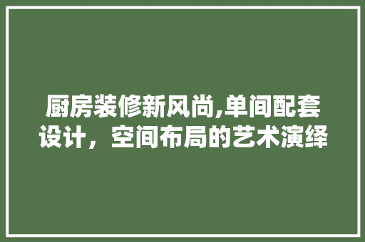 厨房装修新风尚,单间配套设计，空间布局的艺术演绎 厨房装修新风尚,单间配套设计，空间布局的艺术演绎 家居设计