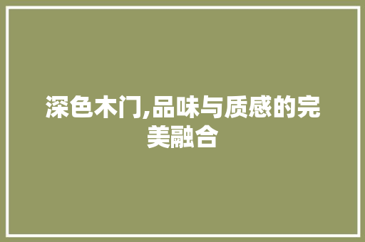 深色木门,品味与质感的完美融合 深色木门,品味与质感的完美融合 家居装饰