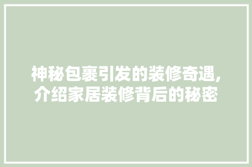 神秘包裹引发的装修奇遇,介绍家居装修背后的秘密 神秘包裹引发的装修奇遇,介绍家居装修背后的秘密 家居设计