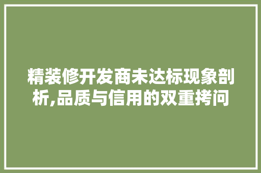 精装修开发商未达标现象剖析,品质与信用的双重拷问 精装修开发商未达标现象剖析,品质与信用的双重拷问 家居装饰