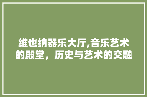 维也纳器乐大厅,音乐艺术的殿堂，历史与艺术的交融 维也纳器乐大厅,音乐艺术的殿堂，历史与艺术的交融 家居设计