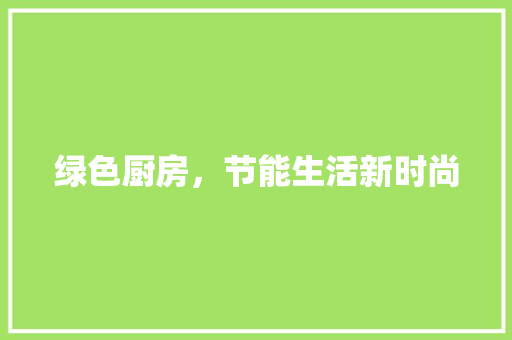 绿色厨房，节能生活新时尚 绿色厨房，节能生活新时尚 买房须知