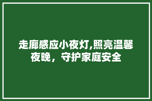 走廊感应小夜灯,照亮温馨夜晚，守护家庭安全 走廊感应小夜灯,照亮温馨夜晚，守护家庭安全 家居设计