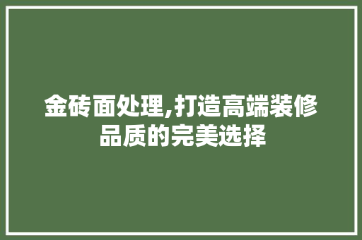 金砖面处理,打造高端装修品质的完美选择 金砖面处理,打造高端装修品质的完美选择 家居装饰