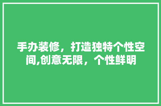 手办装修，打造独特个性空间,创意无限，个性鲜明 手办装修，打造独特个性空间,创意无限，个性鲜明 家居装饰