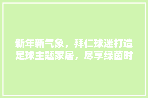 新年新气象，拜仁球迷打造足球主题家居，尽享绿茵时光 新年新气象，拜仁球迷打造足球主题家居，尽享绿茵时光 二手房