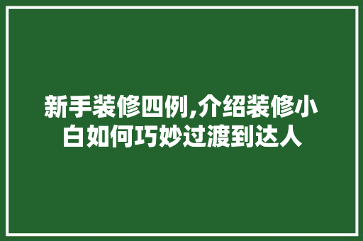 新手装修四例,介绍装修小白如何巧妙过渡到达人 新手装修四例,介绍装修小白如何巧妙过渡到达人 二手房
