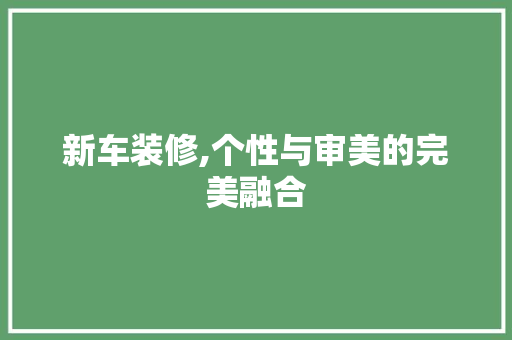 新车装修,个性与审美的完美融合 新车装修,个性与审美的完美融合 家居设计