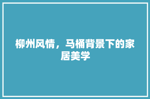 柳州风情，马桶背景下的家居美学 柳州风情，马桶背景下的家居美学 买房须知