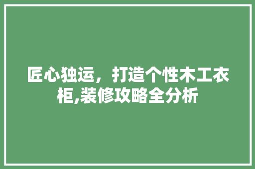 匠心独运，打造个性木工衣柜,装修攻略全分析 匠心独运，打造个性木工衣柜,装修攻略全分析 买房须知