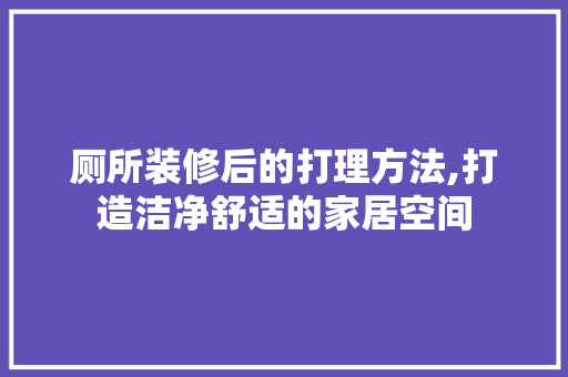 厕所装修后的打理方法,打造洁净舒适的家居空间 厕所装修后的打理方法,打造洁净舒适的家居空间 装修知识