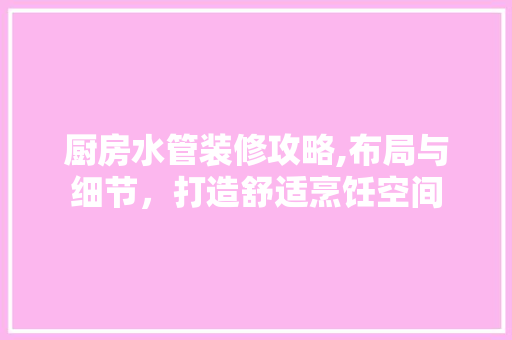 厨房水管装修攻略,布局与细节，打造舒适烹饪空间 厨房水管装修攻略,布局与细节，打造舒适烹饪空间 买房须知