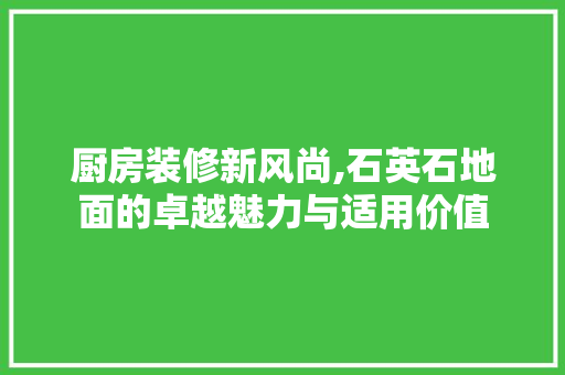 厨房装修新风尚,石英石地面的卓越魅力与适用价值 厨房装修新风尚,石英石地面的卓越魅力与适用价值 家居设计