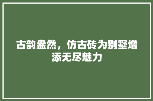 古韵盎然，仿古砖为别墅增添无尽魅力 古韵盎然，仿古砖为别墅增添无尽魅力 买房须知