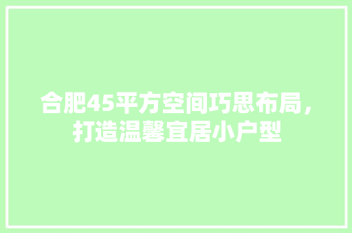 合肥45平方空间巧思布局，打造温馨宜居小户型 合肥45平方空间巧思布局，打造温馨宜居小户型 家居装饰