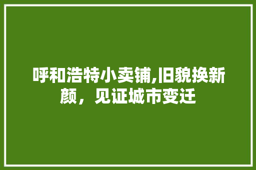 呼和浩特小卖铺,旧貌换新颜，见证城市变迁 呼和浩特小卖铺,旧貌换新颜，见证城市变迁 家居设计