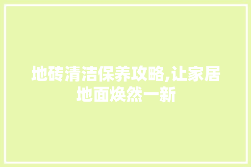 地砖清洁保养攻略,让家居地面焕然一新 地砖清洁保养攻略,让家居地面焕然一新 买房须知