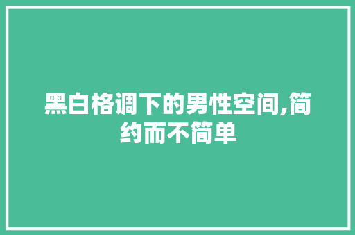 黑白格调下的男性空间,简约而不简单 黑白格调下的男性空间,简约而不简单 买房须知