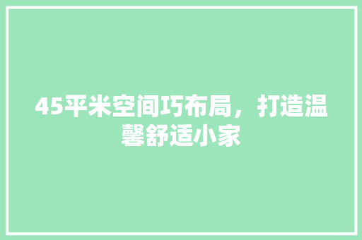 45平米空间巧布局，打造温馨舒适小家 45平米空间巧布局，打造温馨舒适小家 二手房