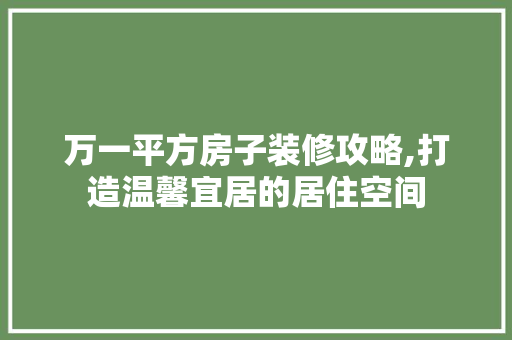 万一平方房子装修攻略,打造温馨宜居的居住空间 万一平方房子装修攻略,打造温馨宜居的居住空间 家居装饰