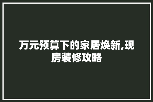 万元预算下的家居焕新,现房装修攻略 万元预算下的家居焕新,现房装修攻略 家居设计
